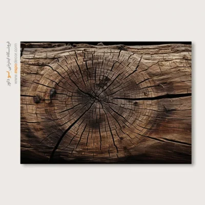 تابلو حلقه درخت - اسپو دکور