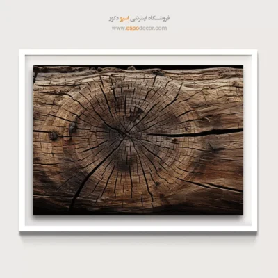 تابلو حلقه درخت - اسپو دکور