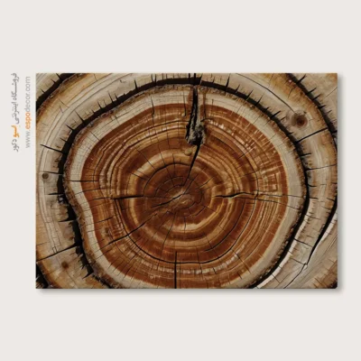 تابلو حلقه درخت - اسپو دکور