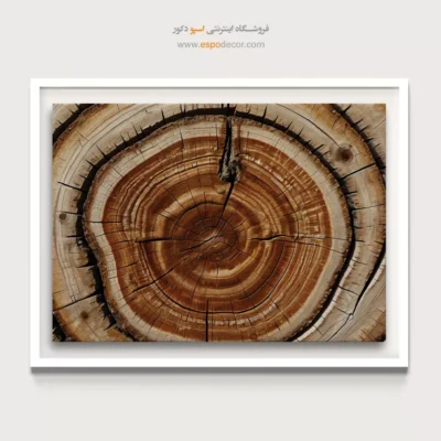 تابلو حلقه درخت - اسپو دکور