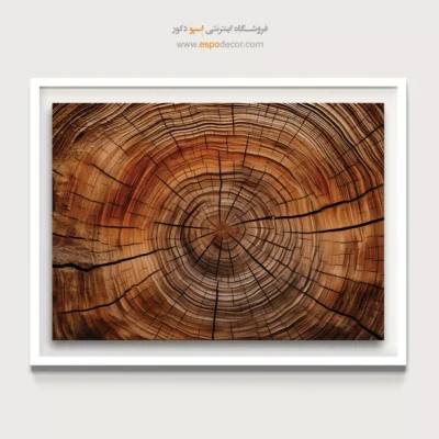 تابلو حلقه درخت - اسپو دکور