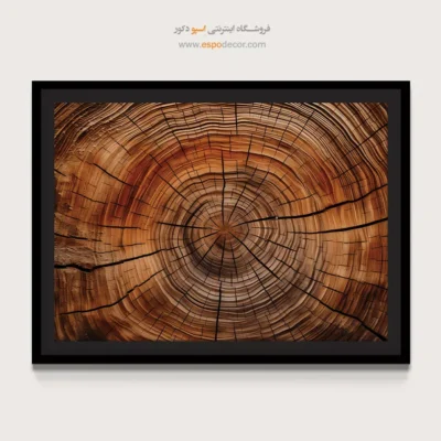 تابلو حلقه درخت - اسپو دکور