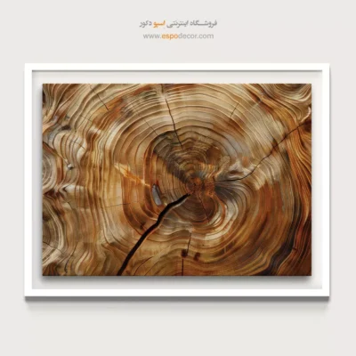 تابلو حلقه درخت - اسپو دکور