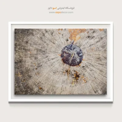 تابلو حلقه درخت - اسپو دکور