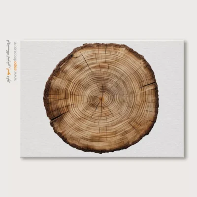 تابلو حلقه درخت - اسپو دکور