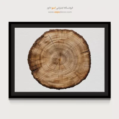تابلو حلقه درخت - اسپو دکور