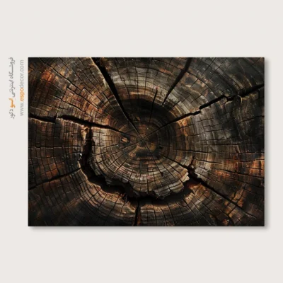 تابلو حلقه درخت - اسپو دکور