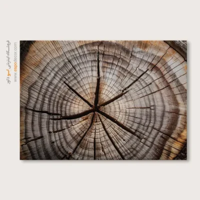 تابلو حلقه درخت - اسپو دکور