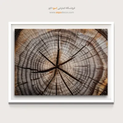 تابلو حلقه درخت - اسپو دکور