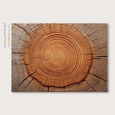 تابلو حلقه درخت - اسپو دکور