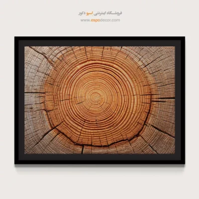 تابلو حلقه درخت - اسپو دکور