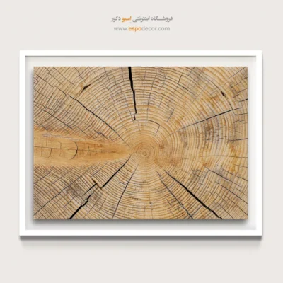 تابلو حلقه درخت - اسپو دکور