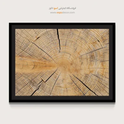 تابلو حلقه درخت - اسپو دکور