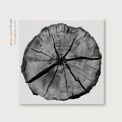 تابلو حلقه درخت - اسپو دکور