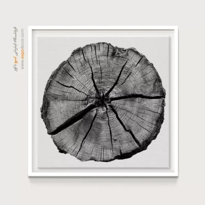 تابلو حلقه درخت - اسپو دکور