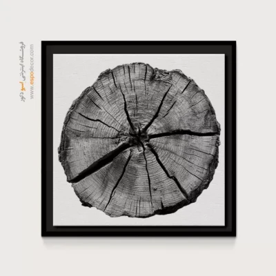 تابلو حلقه درخت - اسپو دکور