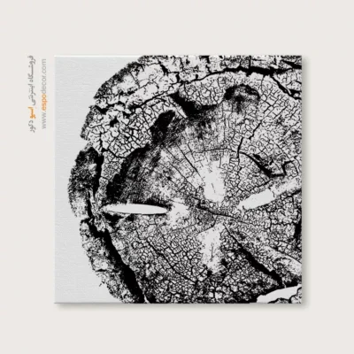 تابلو حلقه درخت - اسپو دکور