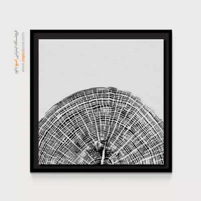 تابلو حلقه درخت - اسپو دکور