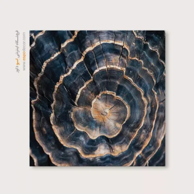 تابلو حلقه درخت - اسپو دکور