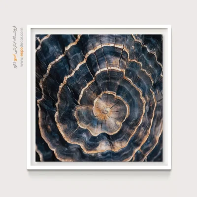 تابلو حلقه درخت - اسپو دکور