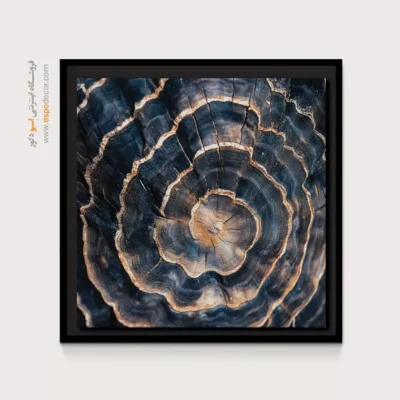 تابلو حلقه درخت - اسپو دکور