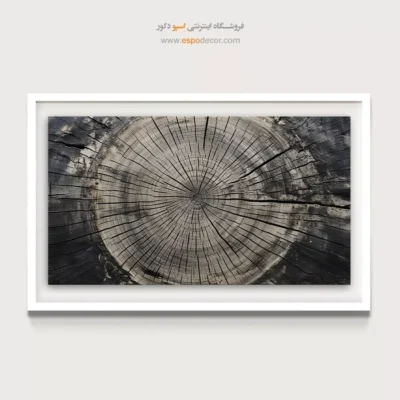 تابلو حلقه درخت - اسپو دکور