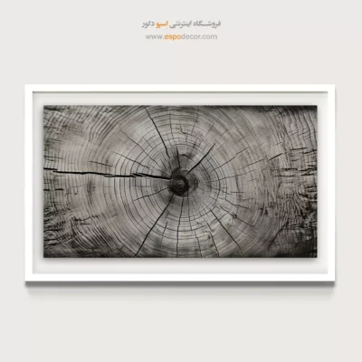 تابلو حلقه درخت - اسپو دکور