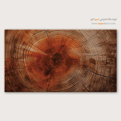 تابلو حلقه درخت - اسپو دکور