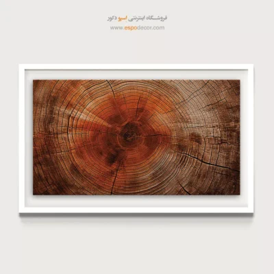 تابلو حلقه درخت - اسپو دکور