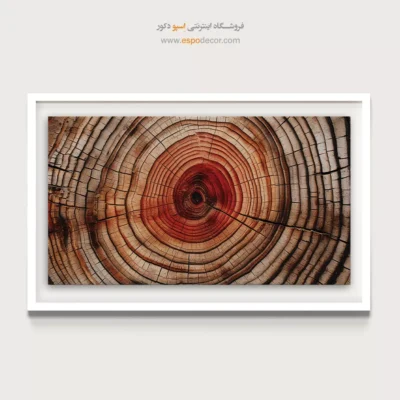 تابلو حلقه درخت - اسپو دکور
