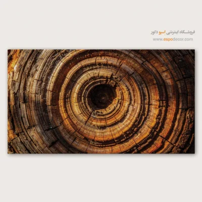 تابلو حلقه درخت - اسپو دکور