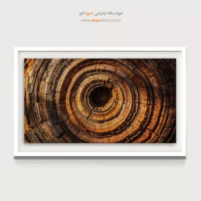 تابلو حلقه درخت - اسپو دکور