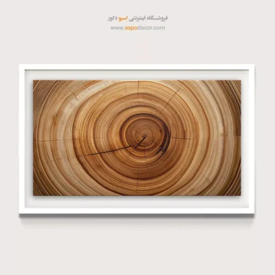 تابلو حلقه درخت - اسپو دکور