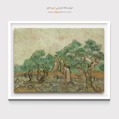 تابلو نقاشی معروف خارجی - باغ زیتون – تابلو نقاشی های ون گوگ - اسپو دکور