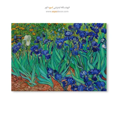 خرید نقاشی گل زنبق