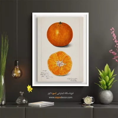 تابلو وینتیج - پرتقال – تابلو پوستر وینتیج - اسپو دکور