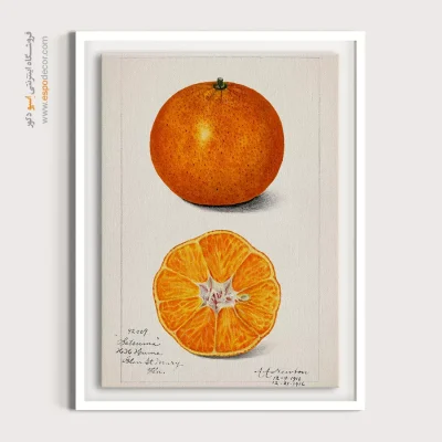 تابلو وینتیج - پرتقال – تابلو پوستر وینتیج - اسپو دکور