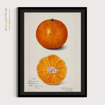 تابلو وینتیج - پرتقال – تابلو پوستر وینتیج - اسپو دکور