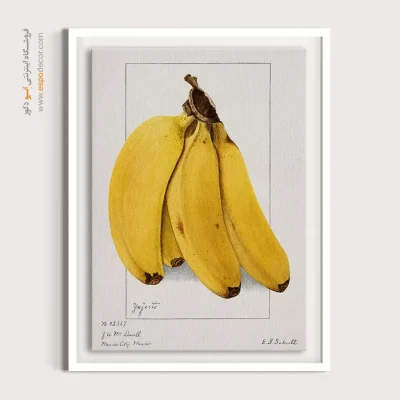 تابلو بوم وینتیج - موزها – تابلو پوستر وینتیج - اسپو دکور