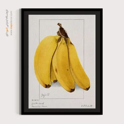 تابلو بوم وینتیج - موزها – تابلو پوستر وینتیج - اسپو دکور