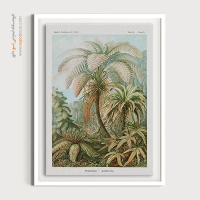 پوستر کافه وینتیج - سرخس ها – تابلو پوستر وینتیج - اسپو دکور