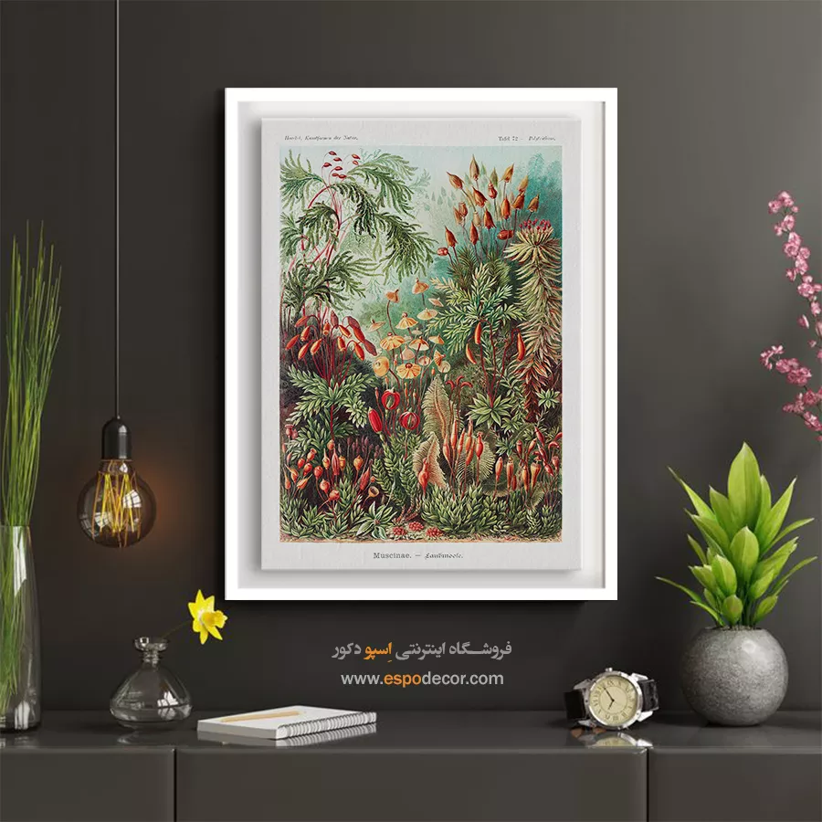 تابلو خاص وینتیج - خزهها – تابلو پوستر وینتیج - اسپو دکور