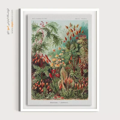 تابلو خاص وینتیج - خزه‌ها – تابلو پوستر وینتیج - اسپو دکور