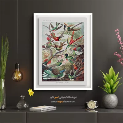 پوستر دیواری خاص - مرغ مگس خوار – تابلو پوستر وینتیج - اسپو دکور