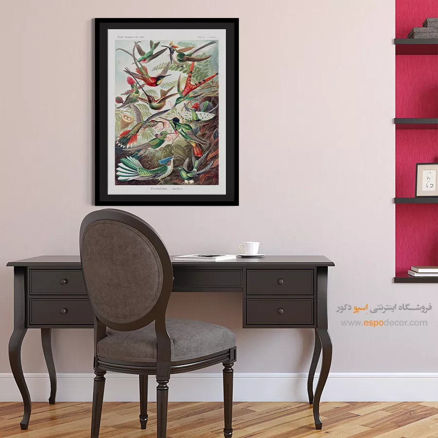 پوستر دیواری خاص - مرغ مگس خوار – تابلو پوستر وینتیج - اسپو دکور