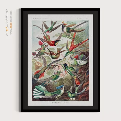 پوستر دیواری خاص - مرغ مگس خوار – تابلو پوستر وینتیج - اسپو دکور