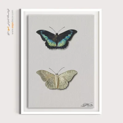 پوستر خارجی - بالا و پایین یک پروانه – تابلو پوستر وینتیج - اسپو دکور