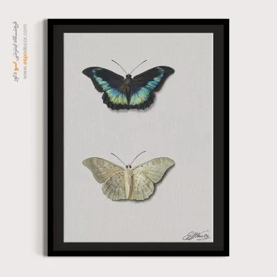 پوستر خارجی - بالا و پایین یک پروانه – تابلو پوستر وینتیج - اسپو دکور