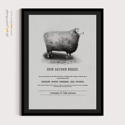 تابلو نقاشی با کیفیت - گوسفند آکسفورد جدید – تابلو پوستر وینتیج - اسپو دکور